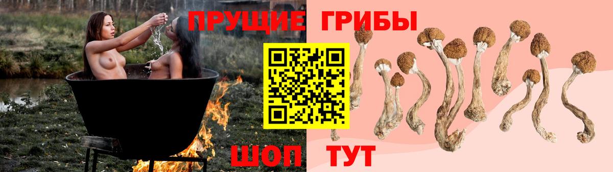 Псилоцибиновые грибы GOLDEN TEACHER  Вход с VPN  Галлюциногенные грибы GOLDEN TEACHER  Воткинск 