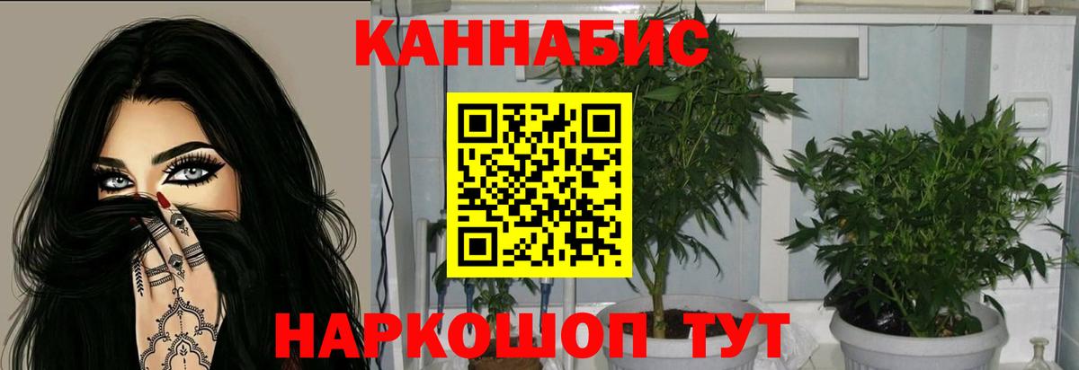 Бошки Шишки марихуана  МАРИХУАНА THC 21%  Вход с VPN  Каннабис конопля  Воткинск 